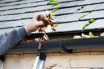 cleaning full gutters alcoil