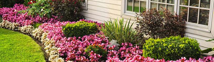 Improve Your Home's Curb Appeal | Alcoil