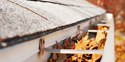 gutter full of leaves