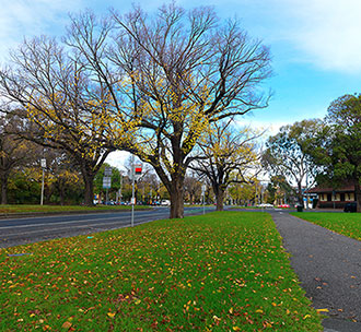 melbourne leafy street